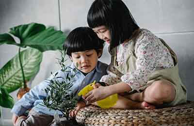 小學語文中學生寫作能力培養淺談