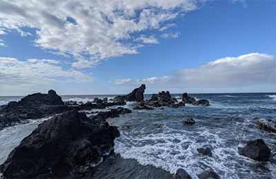 談城市道路綠地景觀提升改造及管理