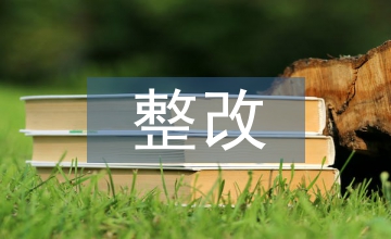 內部審計整改報告