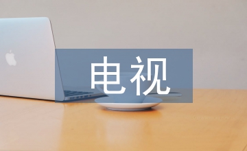 電視藝術的審美特征