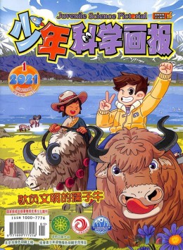 少年科學畫報雜志